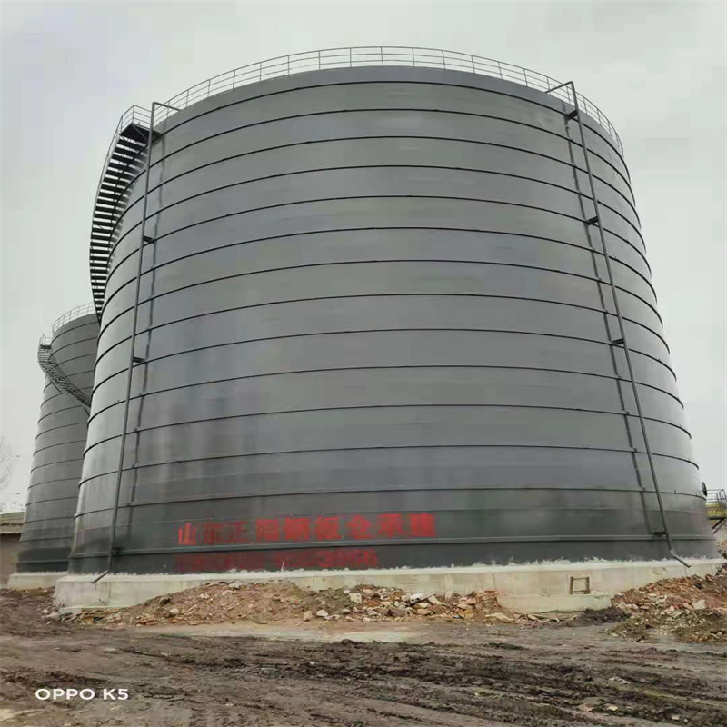 万源3万吨大型钢板库